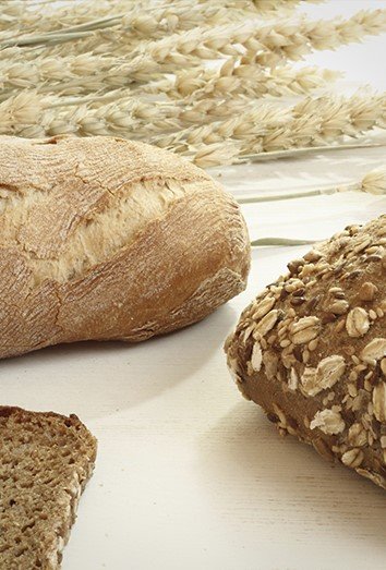 Low Carb Foods: Guide to Healthy Eating