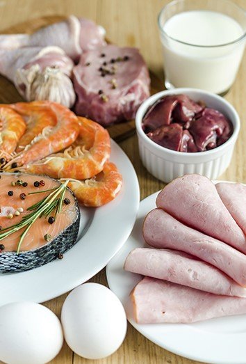 The 5 foods richest in protein